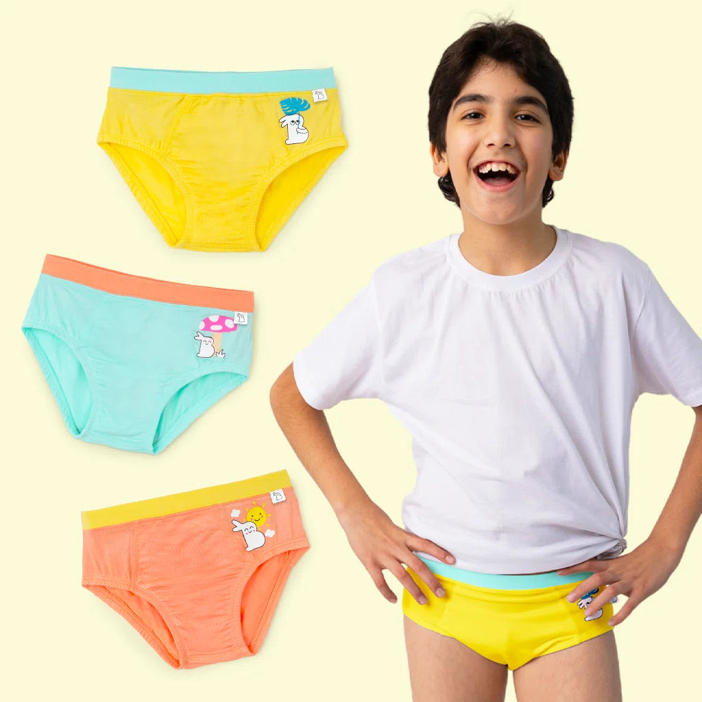 Boy Briefs-Eco Wonders 3 Pack
