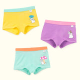 Pack of 3 Girl Boyshorts (Autumn Charm, Mushroom Magic & Purple Pixie)