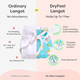Pack of 12 DryFeel Langot - Assorted