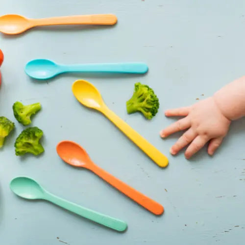 10 months baby food chart