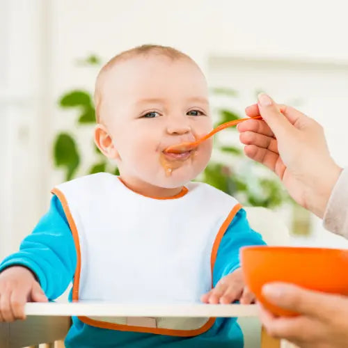 12 Month Baby Food: Diet Chart & Recipe