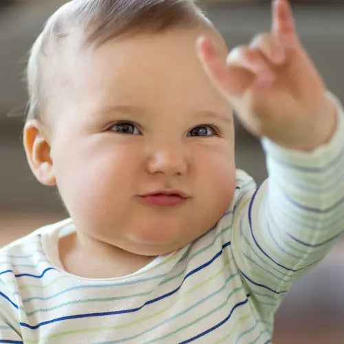 Baby Sign Language for Communication