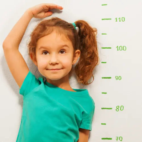 Hight Chart for Kids