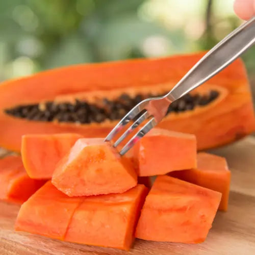 Papaya in Pregnancy