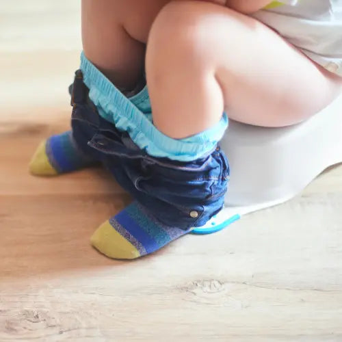 Tips for Potty Training your Toddler