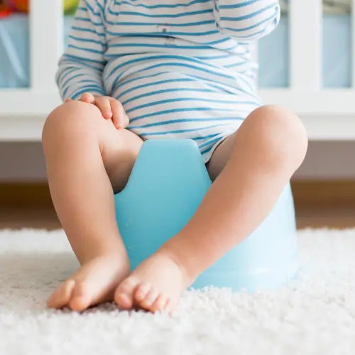 3 day potty training method