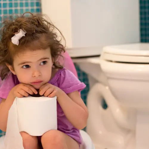 potty training your toddler