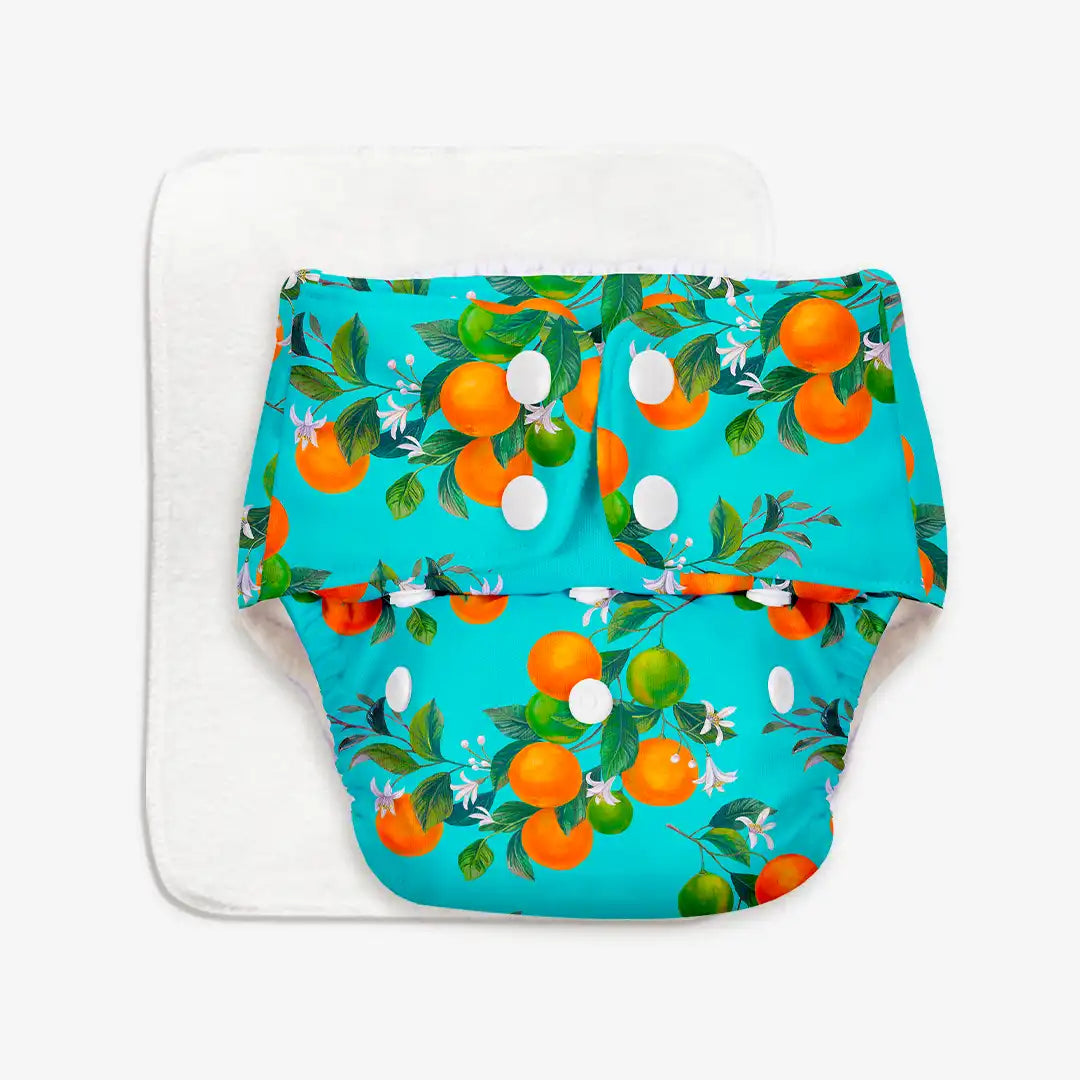 Peaches - BASIC Cloth Diaper, New & Improved with EasySnap & Quick Dry UltraThin Pad