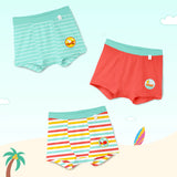 Pack of 3 Boys Trunk - Cloudloom Collection