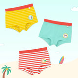 Supersoft Girls Boyshorts (Silky Snuggles) Pack of 3