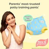 Padded Underwear - Dazzle Up