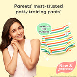 Padded Underwear - Garden Green