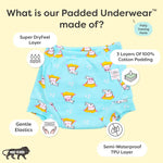 Padded Underwear Bummy World