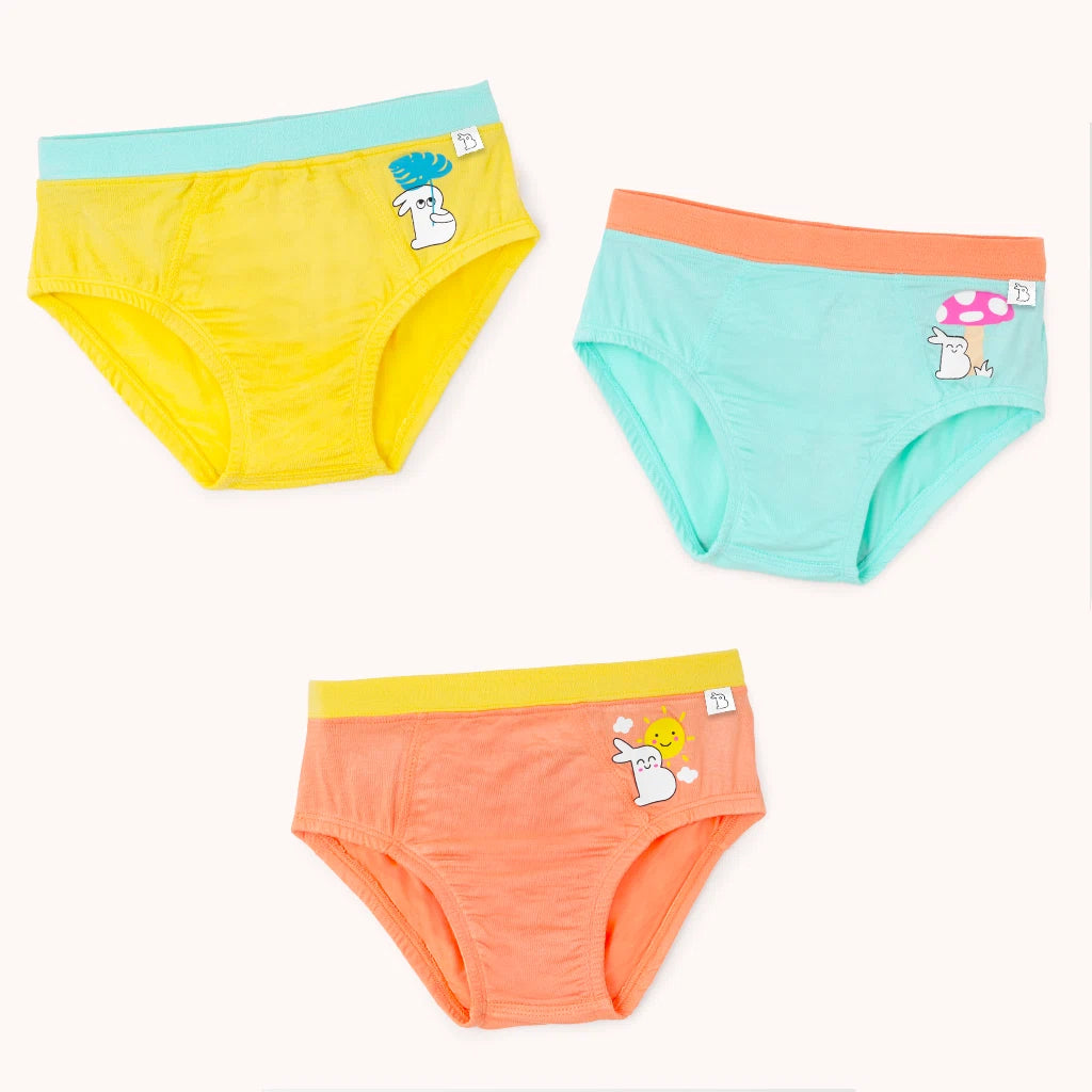 Boy Briefs - Eco Wonders (Pack of 3)