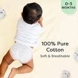 BASIC Langot (Small)