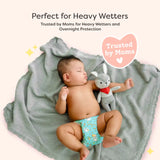 SuperBottoms Universal Booster Pad