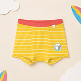 Boy Trunk - Li'l Wave Rider