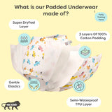 Padded Underwear - Size 2 Bummy World (Old Version)