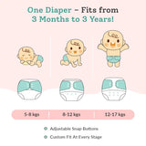 Pack of 3 BASIC Diaper, New & Improved with EasySnap & Quick Dry UltraThin Pad - (3 Shell + 3 Pads) - No Print Choice
