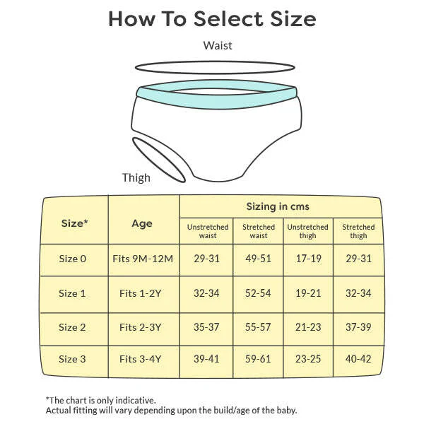 Padded Underwear Pack of 6-Hive