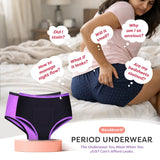 Ultra 6X Absorbent Leakproof Period Underwear