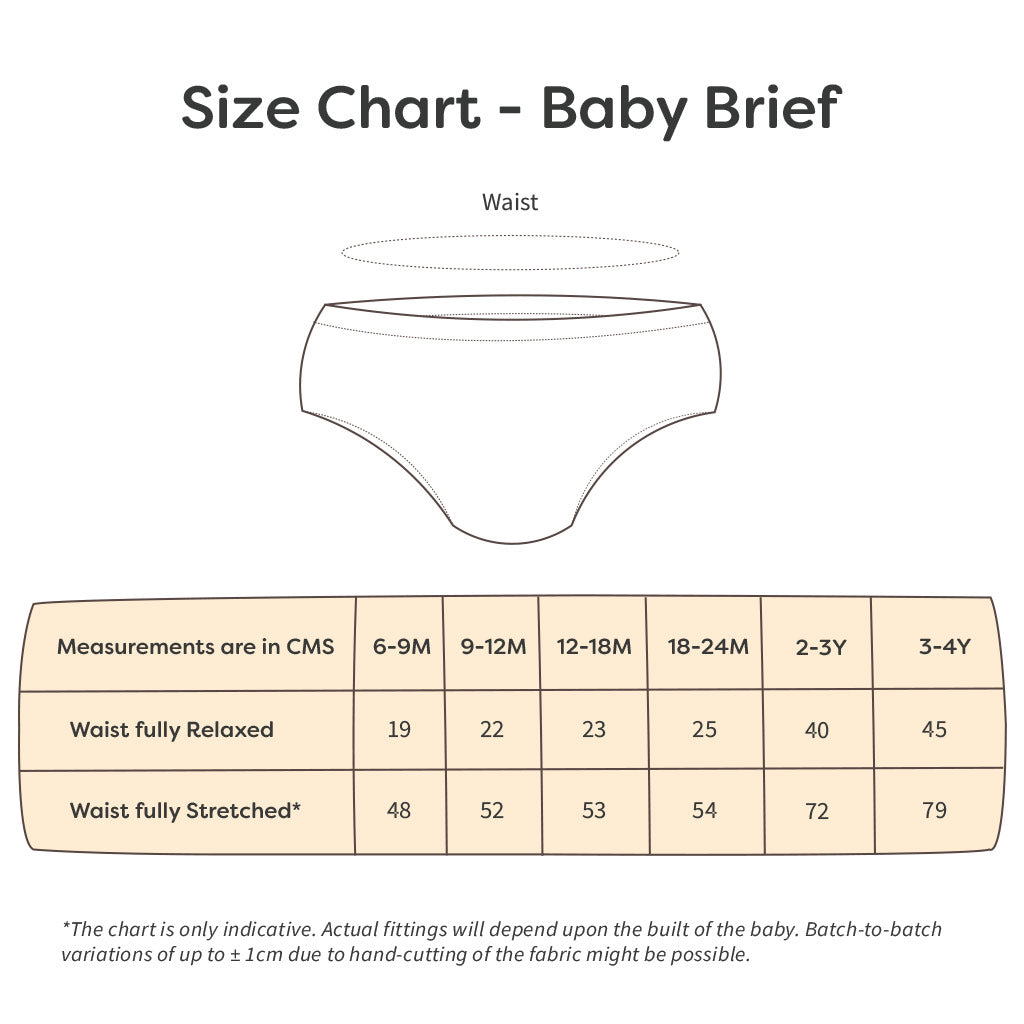 Basic Briefs with Stitch Issue 5 Pack (No Print choice) 2-3 Years