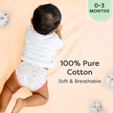 BASIC Langot (Small)