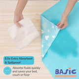 BASIC Cloth Diaper (Bluestar) + Diaper Changing Mat - (S)(Breezy Blue)
