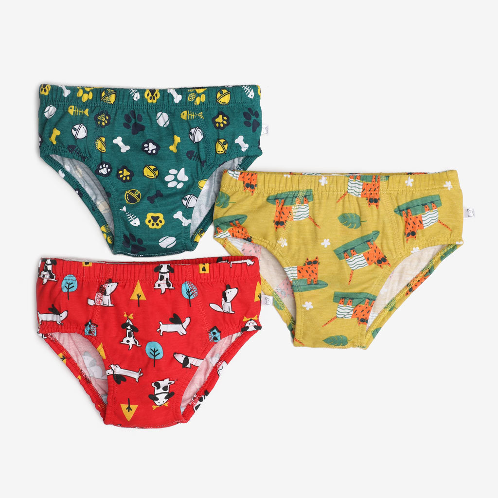 Young Boy Briefs -3 Pack (Paws Only)