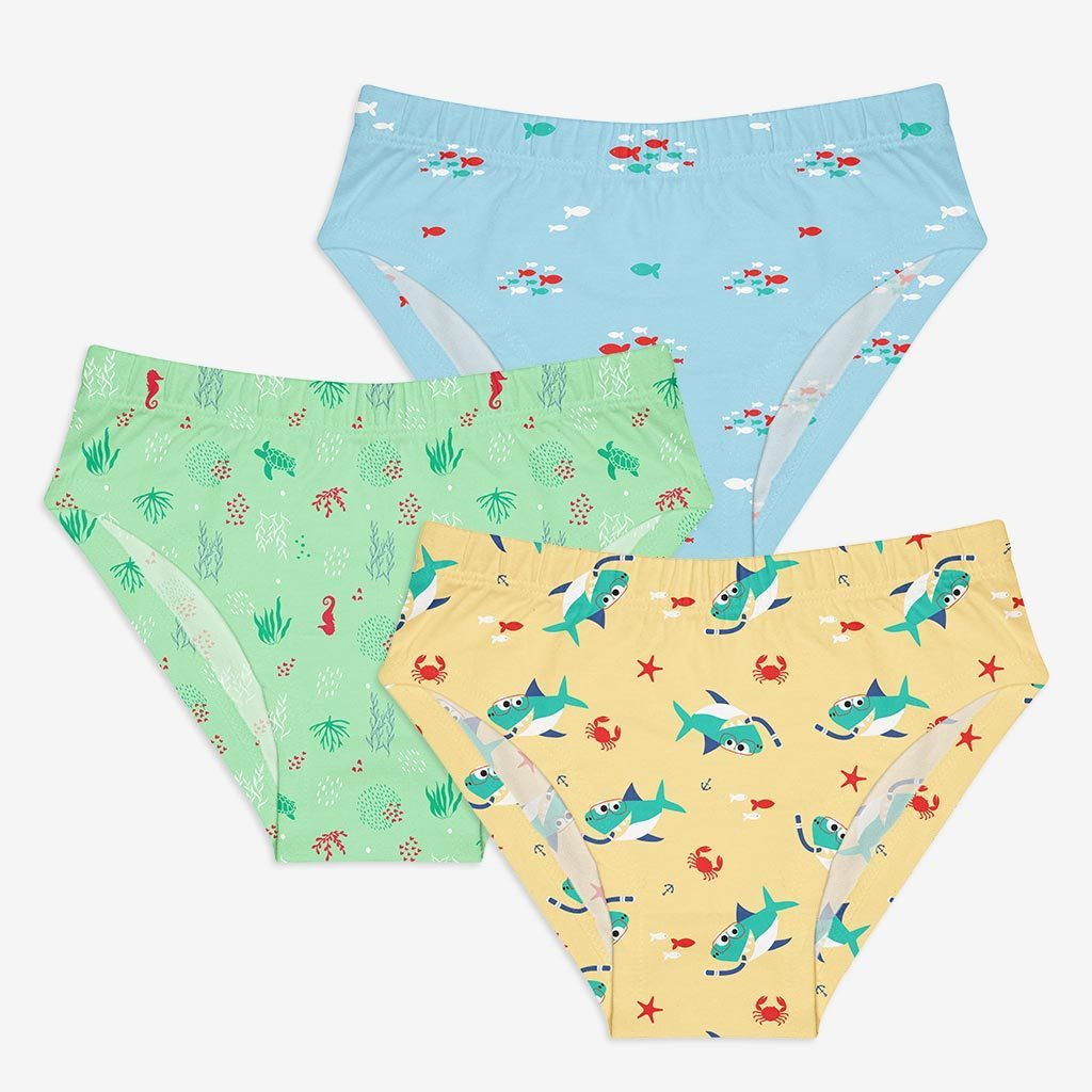 Young Girl Briefs Pack of 6 (Woody Goody, Sea-saw)